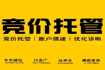 SEM托管服务实战案例：打造高效广告投放策略